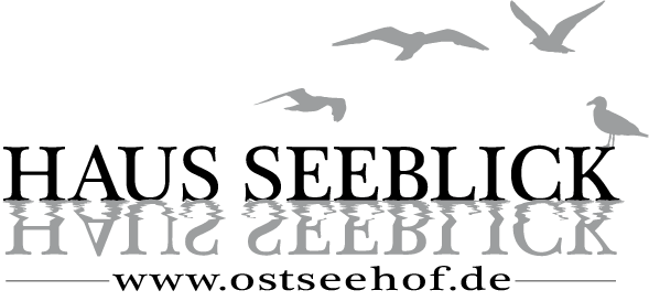 logo_fin
